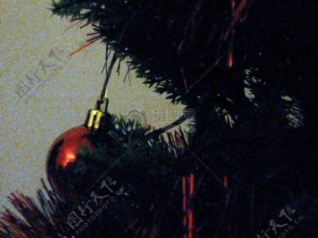 圣诞树上的装饰