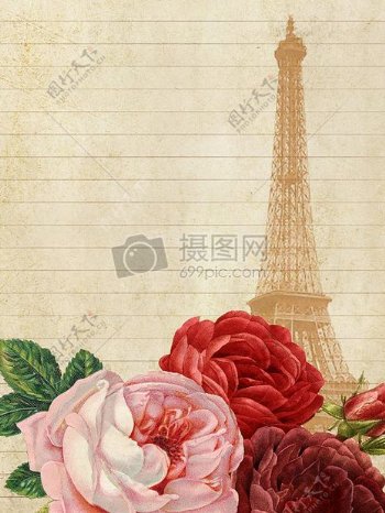 埃菲尔铁塔下的玫瑰花