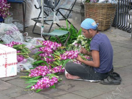曼谷花卉市场