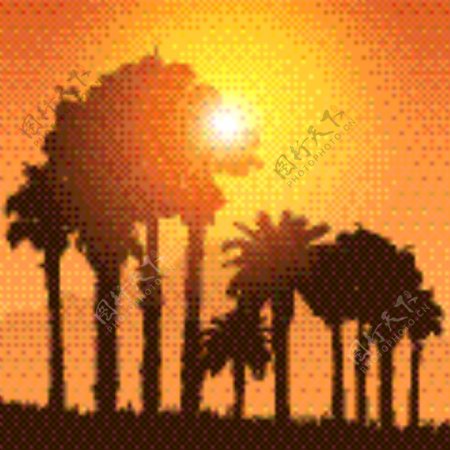 热带景观在落日的天空的棕榈树的剪影