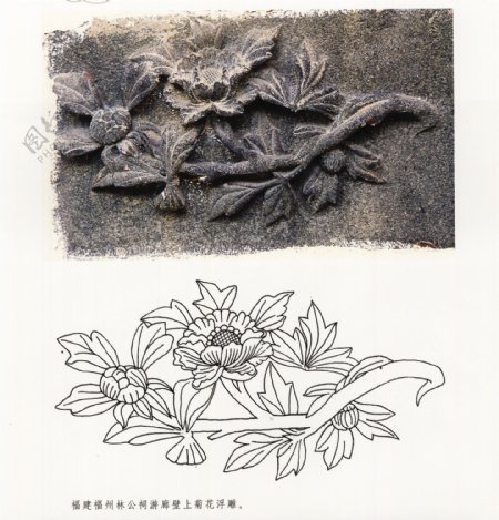 古代建筑雕刻纹饰草木花卉牡丹月季28