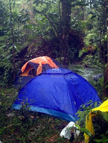 丛林中的帐篷