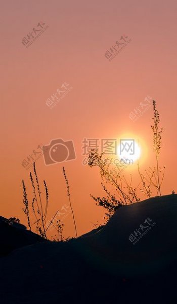 夕阳下的景色