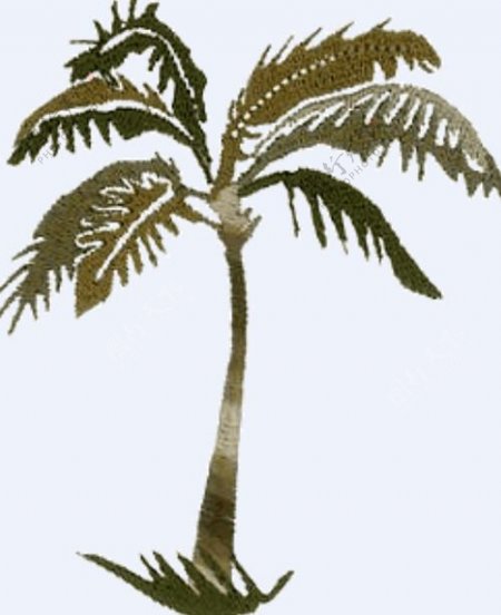 绣花植物椰子树草色彩免费素材
