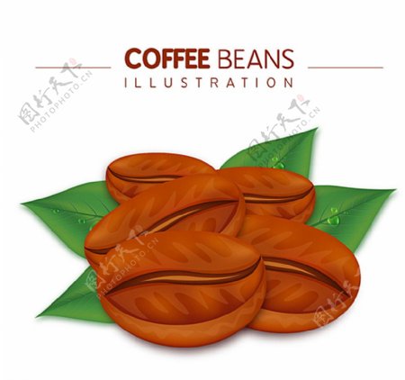 创意咖啡豆设计矢量图图片
