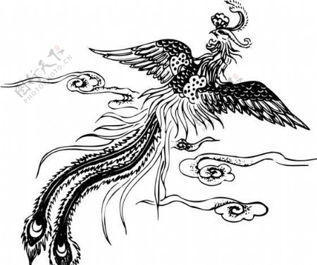 凤凰凤纹图案鸟类装饰图案矢量素材CDR格式0033