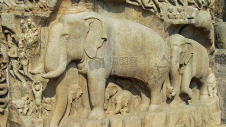 印度大象雕刻
