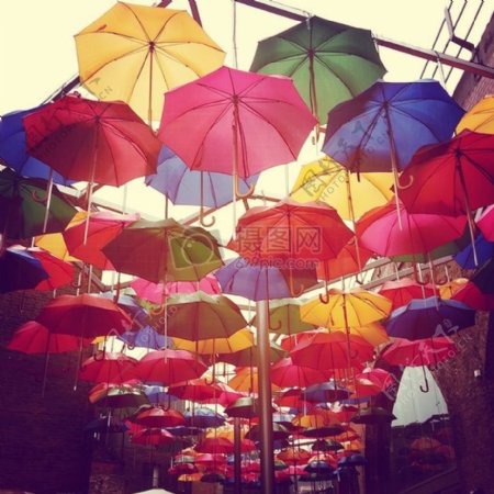 阳光下的彩色雨伞