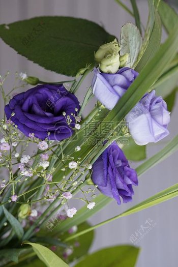 紫色花卉装饰品
