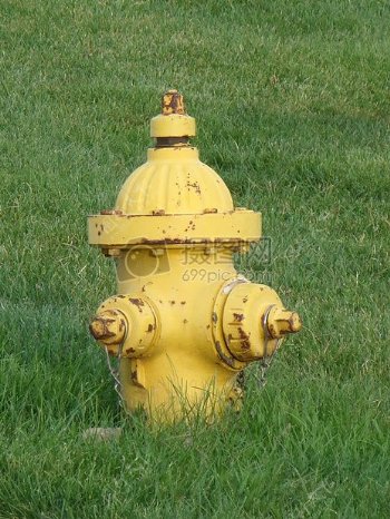 草坪中的黄色消防栓
