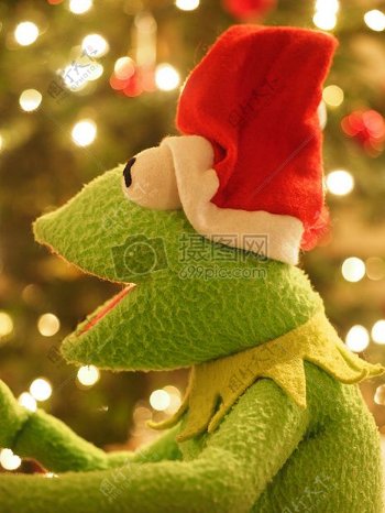 快乐的圣诞青蛙