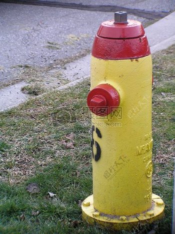 黄色的消防栓