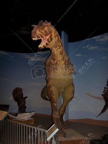 博物馆里的恐龙