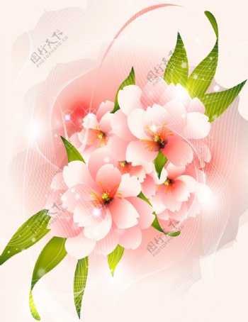 矢量粉色花卉素材背景