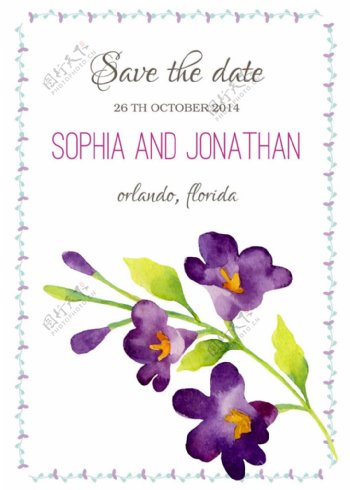 紫色的花朵插图图片