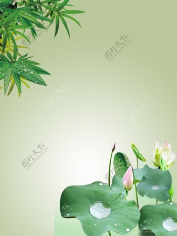 竹叶荷花绿色清新背景图