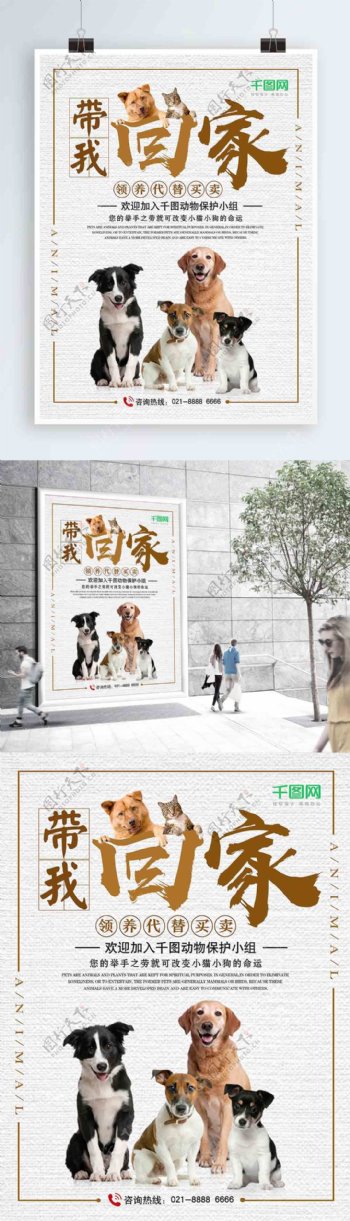 关爱流浪动物宠物领养公益宣传海报