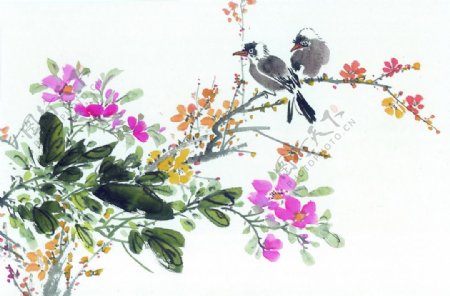 鸟花开富贵水墨画小鸟在花