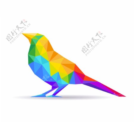 彩色抽象鸟