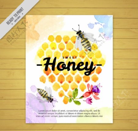 彩绘蜂窝和蜜蜂矢量素材