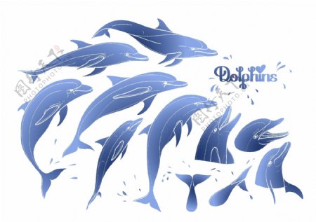 时尚手绘蓝色海豚插画