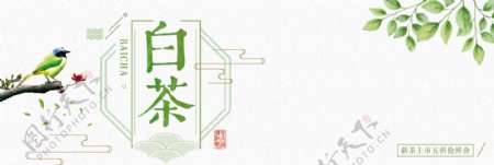 绿色文艺小清新茶叶白茶树叶电商banner淘宝海报