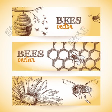 蜜蜂的蜂巢梳花素描横幅的隔离套矢量插画