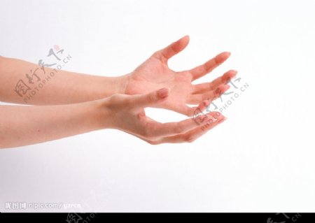手手的表情手势手的姿势