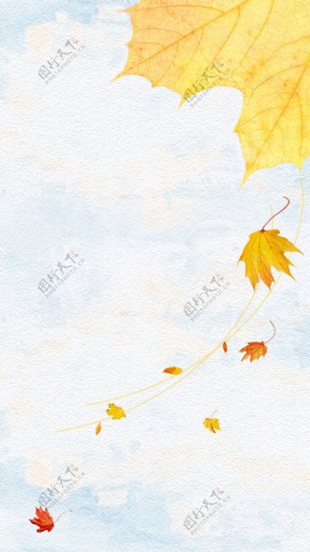 金色枫叶秋季H5背景素材