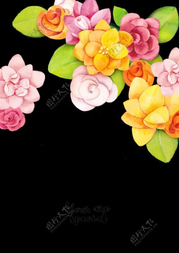 彩绘花朵植物png透明素材