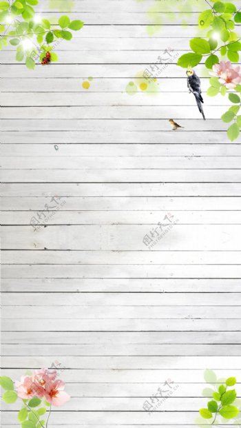 清新绿色树叶白色木纹H5背景素材