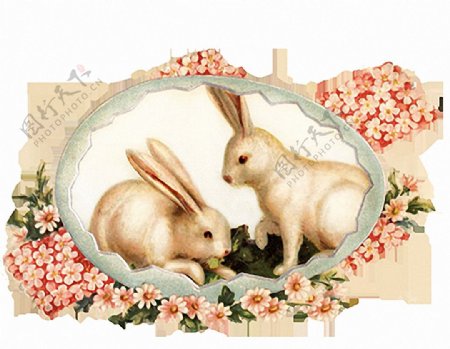 复活节兔子鲜花免抠png透明图层素材