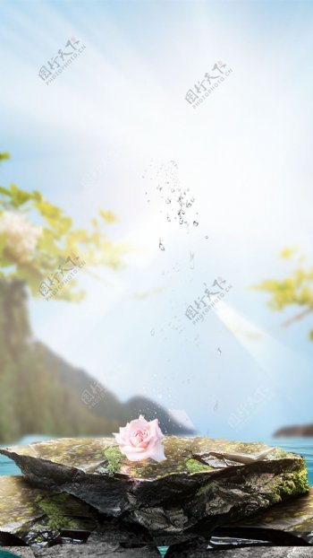 粉色花朵石头蓝天H5背景素材