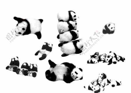 大熊猫笔刷