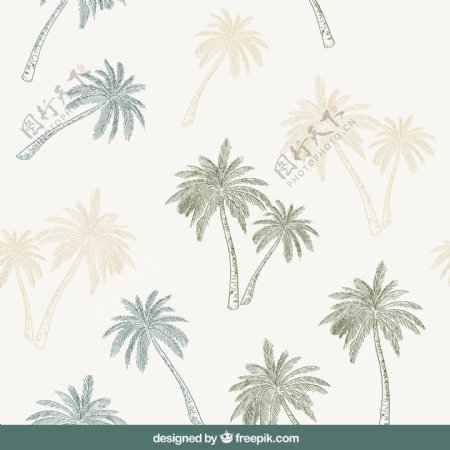 装饰图案的手工绘制的棕榈树