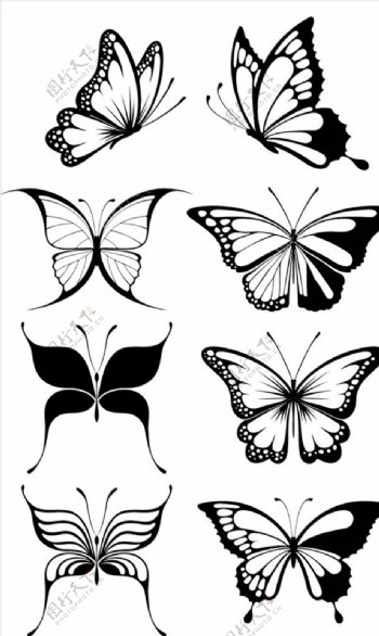 蝴蝶图案矢量图