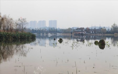 洋湖湿地