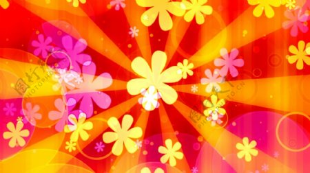 缤纷色彩射线背景花朵视频素材