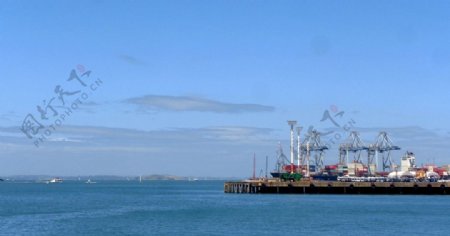 奥克兰港码头风景