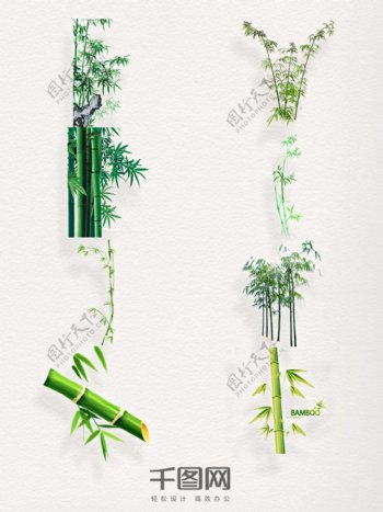 一组绿色竹子设计素材
