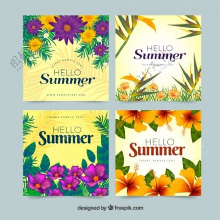 漂亮的夏日卡片