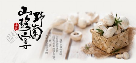介绍野菌网页banner