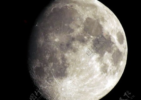 望月