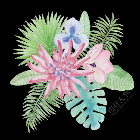 丰富花卉透明装饰图案