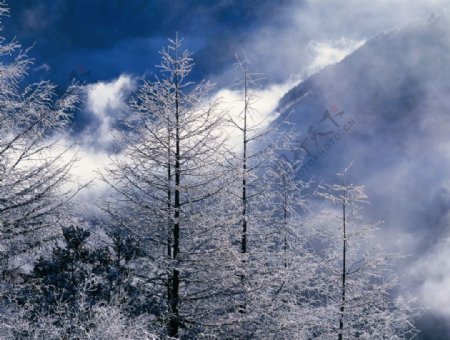 林海雪山