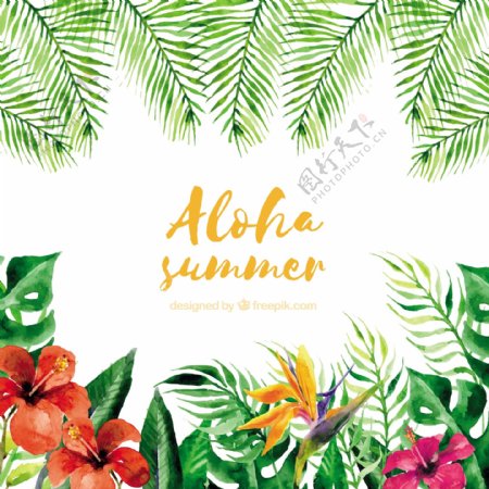 水彩画的ALOHA夏季背景的植物和花朵