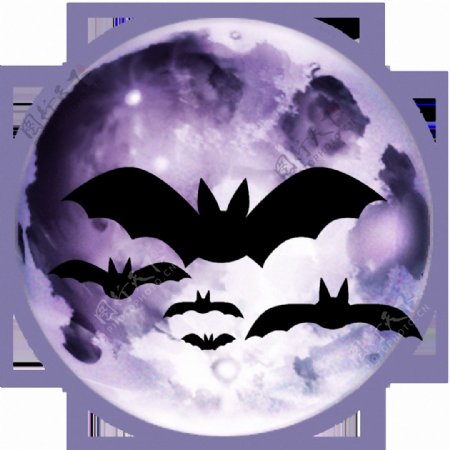 飞翔的蝙蝠图形免抠png透明素材