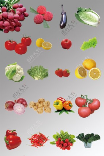 一组写实水果蔬菜源文件