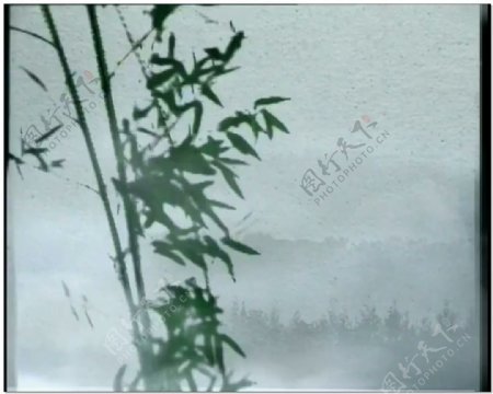 中国水墨竹子视频素材