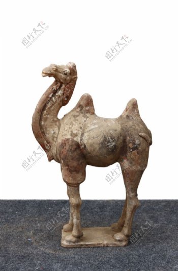 彩陶骆驼